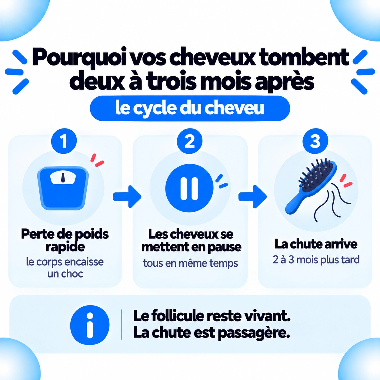 Pourquoi les cheveux tombent deux à trois mois après : la perte de poids rapide met les cheveux en pause tous en même temps, et la chute arrive au terme de cette pause.